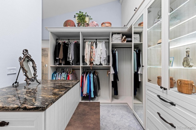 689 Red Deer Rd, Franktown, CO 80116 - view of spacious closet