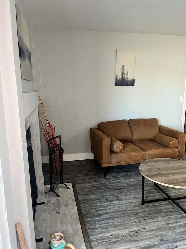 4899 S Dudley St Unit 1E, Littleton, CO 80123 - living room featuring wood finished floors, baseboards, and a fireplace