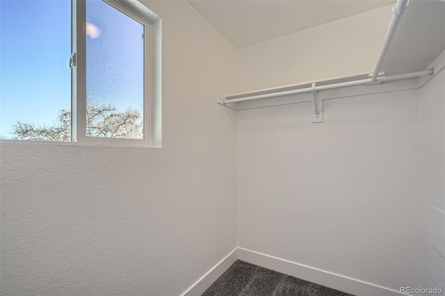 spacious closet featuring dark colored carpet