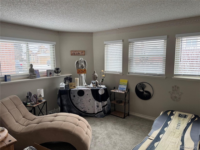 interior space with a wealth of natural light, carpet, a textured ceiling, and baseboards