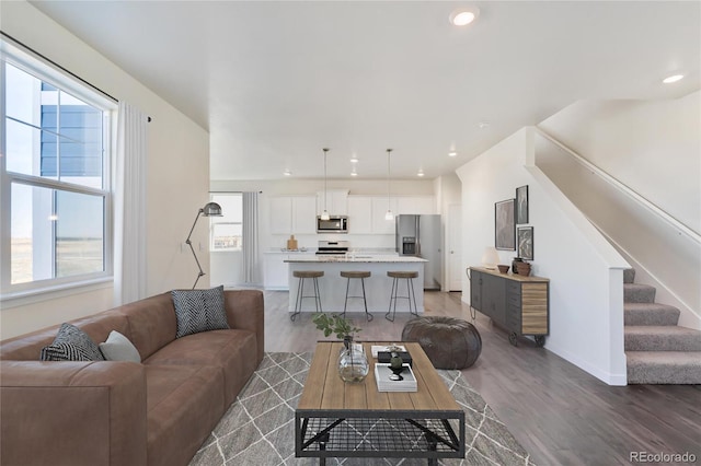 living room featuring wood-type flooring