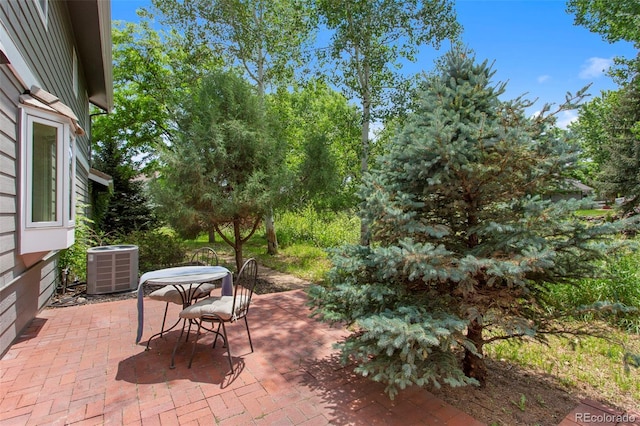 12 Long Spur, Littleton, CO 80127 - photo 43