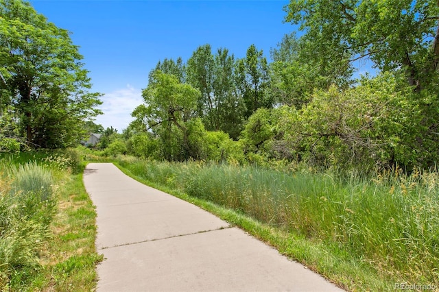 12 Long Spur, Littleton, CO 80127 - photo 45
