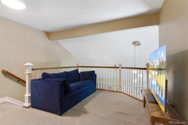 12 Long Spur, Littleton, CO 80127 - photo 19