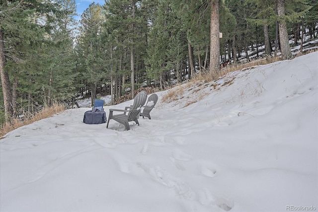 view of yard covered in snow