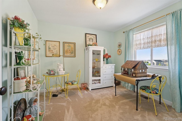 3741 Harvard Pl, Broomfield, CO 80023 - office area with carpet floors and baseboards