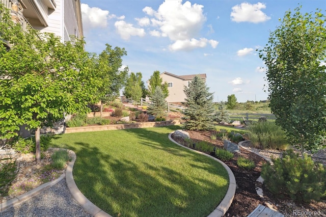 3741 Harvard Pl, Broomfield, CO 80023 - view of green lawn