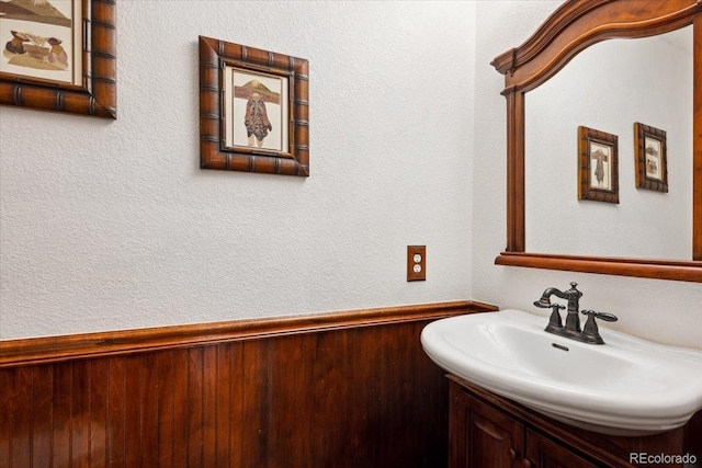 19113 W 60th Ln, Golden, CO 80403 - bathroom with vanity
