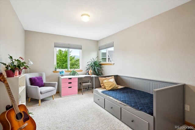 19113 W 60th Ln, Golden, CO 80403 - bedroom featuring carpet