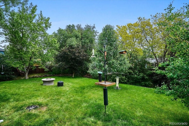 19113 W 60th Ln, Golden, CO 80403 - view of grassy yard featuring an outdoor fire pit