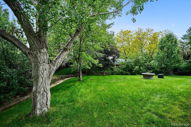 19113 W 60th Ln, Golden, CO 80403 - view of green lawn