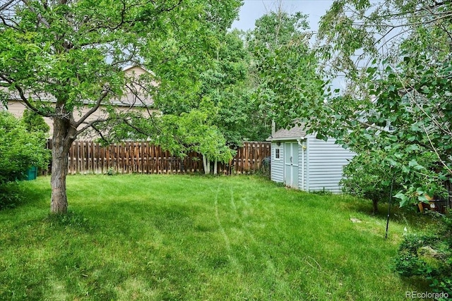 19113 W 60th Ln, Golden, CO 80403 - view of yard with a shed