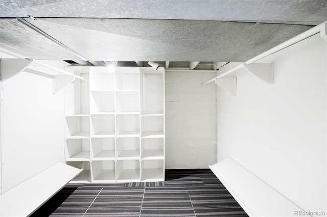 walk in closet featuring carpet floors
