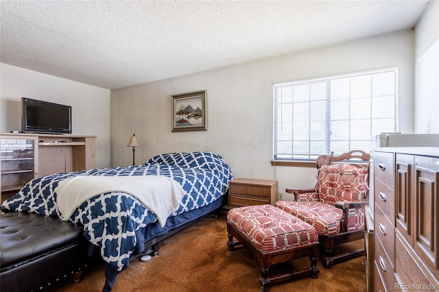 750 S Dearborn Ct, Aurora, CO 80012 - bedroom with carpet floors and a textured ceiling