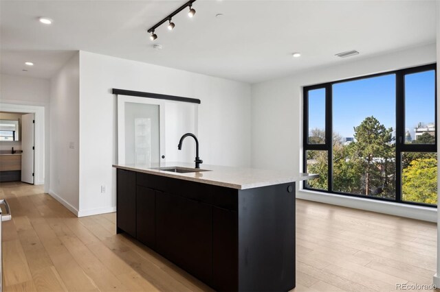 kitchen featuring sink, a kitchen island with sink, and light hardwood / wood-style floors