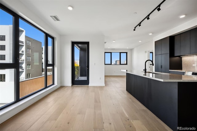 kitchen with a spacious island, track lighting, sink, and light wood-type flooring