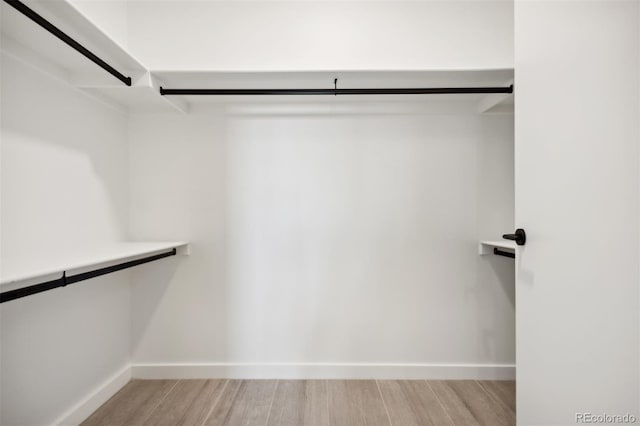 walk in closet featuring light hardwood / wood-style floors