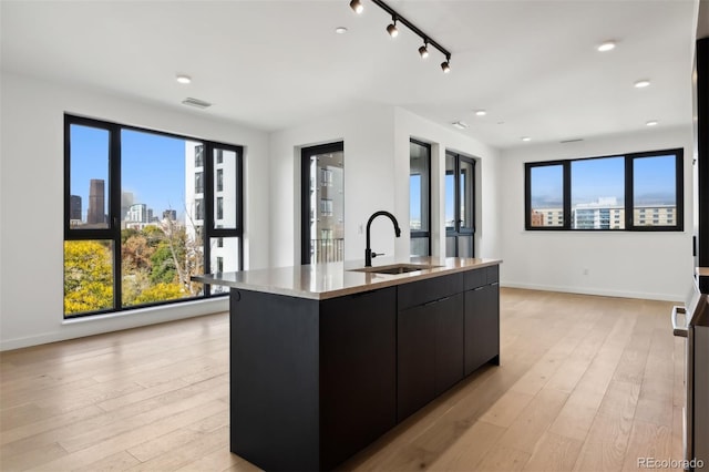 kitchen with light hardwood / wood-style flooring, sink, and an island with sink