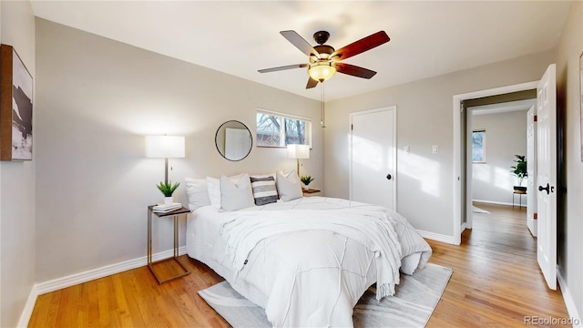 bedroom with light hardwood / wood-style floors and ceiling fan