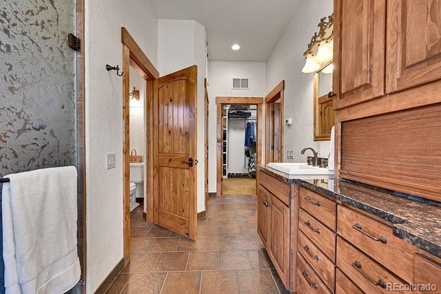15947 Huckleberry Hts, Colorado Springs, CO 80908 - bathroom with visible vents, vanity, toilet, a walk in closet, and a stall shower