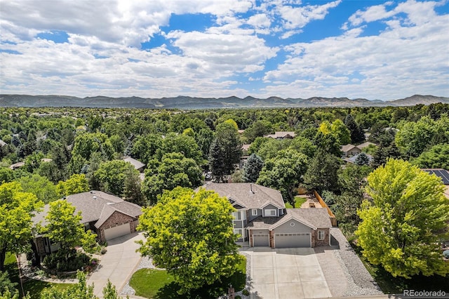 4541 Christensen Cir, Littleton, CO 80123 - photo 42