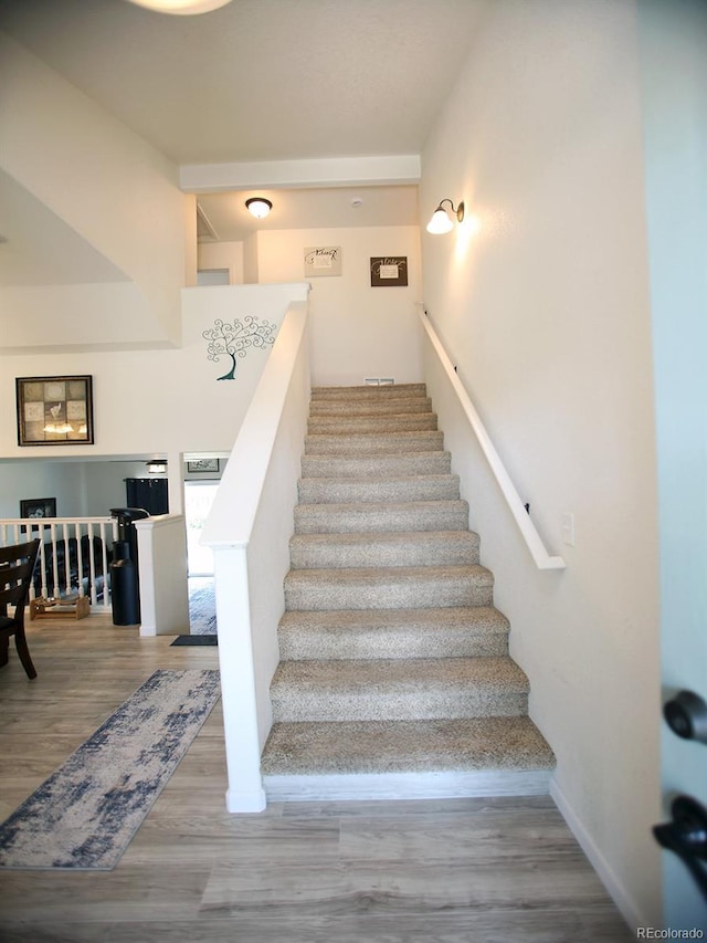 4586 Emerald Bay Ln, Wellington, CO 80549 - photo 19