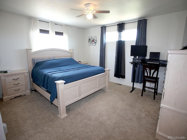 4586 Emerald Bay Ln, Wellington, CO 80549 - photo 20