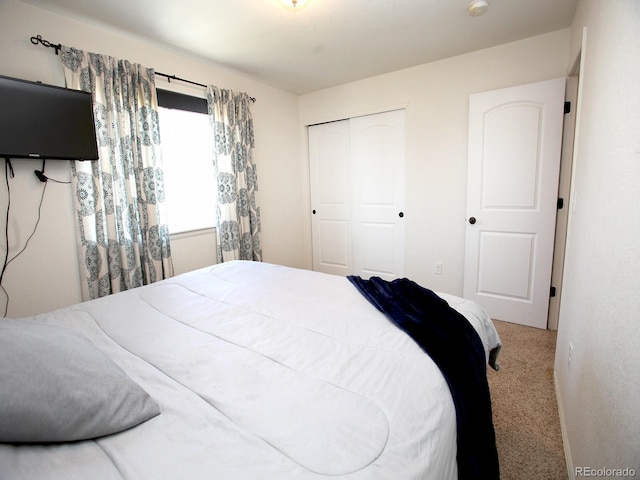4586 Emerald Bay Ln, Wellington, CO 80549 - photo 29
