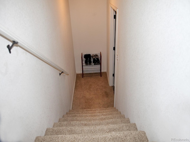 4586 Emerald Bay Ln, Wellington, CO 80549 - photo 37