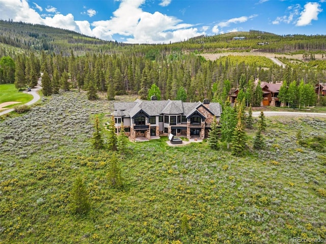 174 Sage Dr, Breckenridge, CO 80424 - photo 44