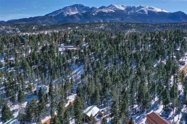 drone / aerial view featuring a mountain view and a view of trees