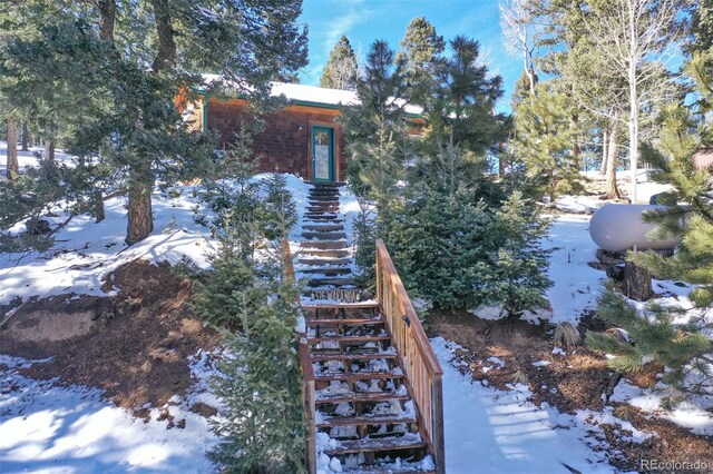526 Wakanda Trl, Woodland Park, CO 80863 - yard layered in snow with stairway