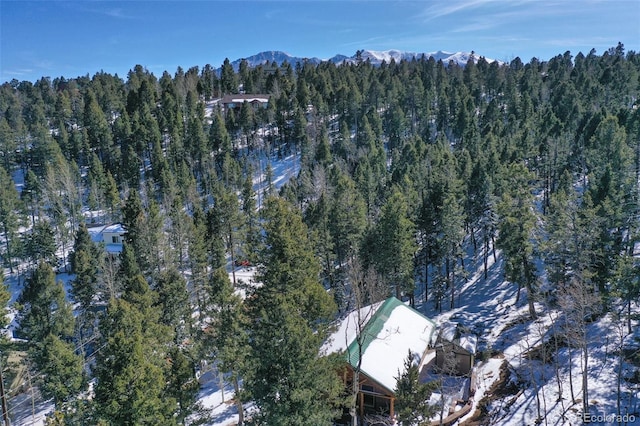 526 Wakanda Trl, Woodland Park, CO 80863 - birds eye view of property with a wooded view and a mountain view