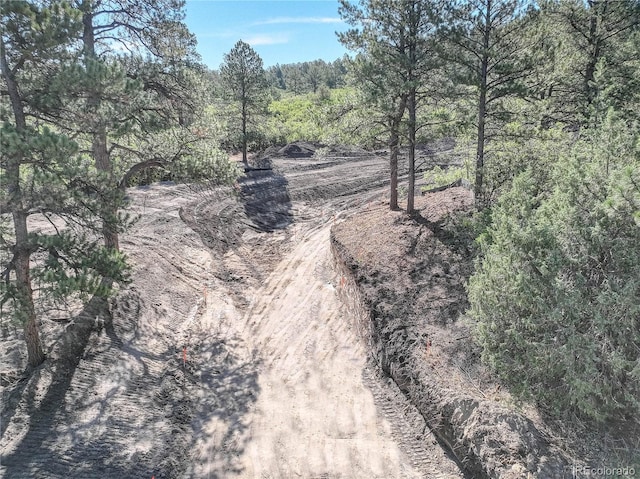 view of local wilderness