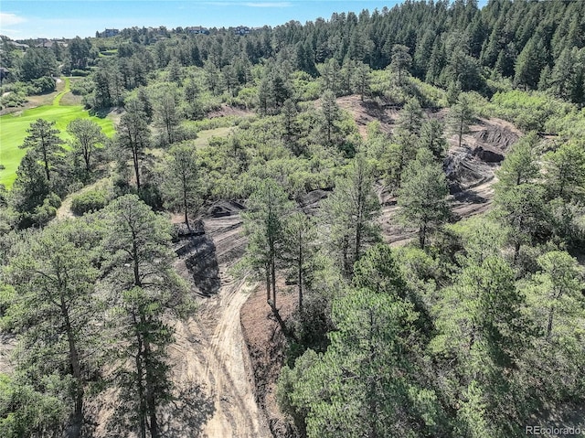 view of bird's eye view