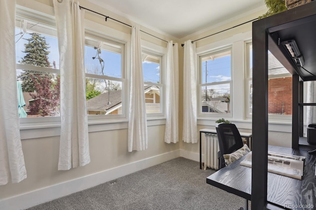 916 Adams St, Denver, CO 80206 - view of sunroom