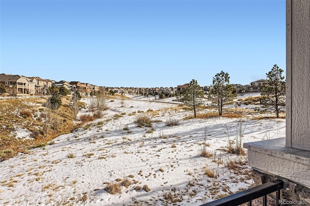 view of yard covered in snow