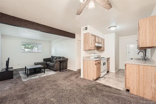 16259 W 10th Ave Unit K1, Golden, CO 80401 - kitchen with white appliances, under cabinet range hood, light brown cabinetry, open floor plan, and a ceiling fan