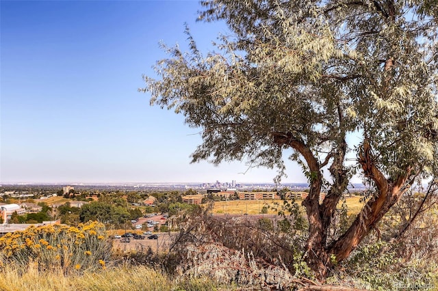 16259 W 10th Ave Unit K1, Golden, CO 80401 - view of nature