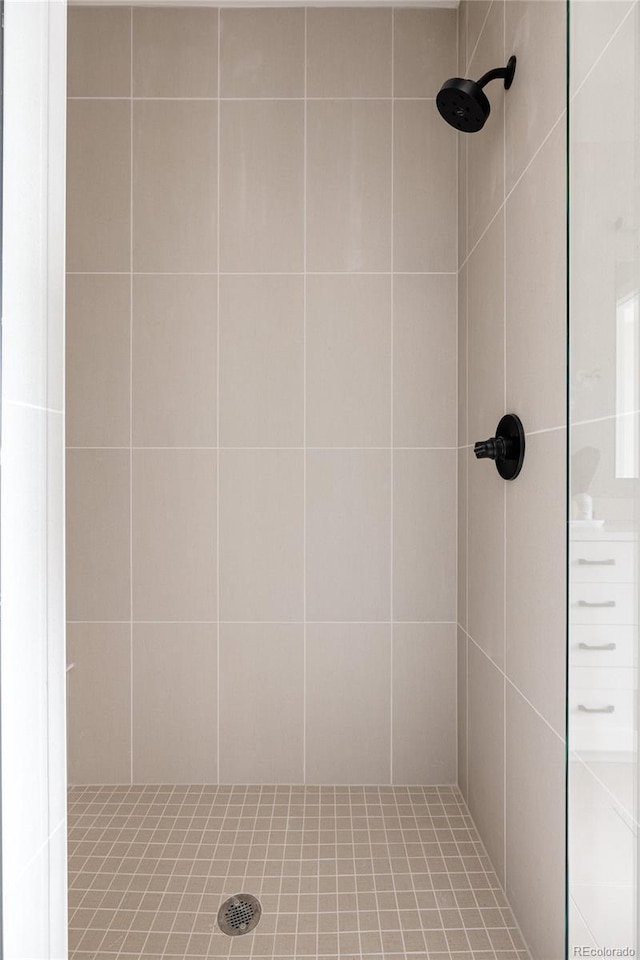 8280 E 36th Ave Unit 26, Denver, CO 80238 - bathroom with tiled shower