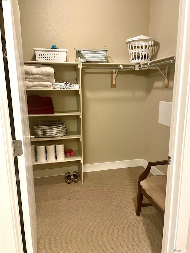 spacious closet with carpet flooring