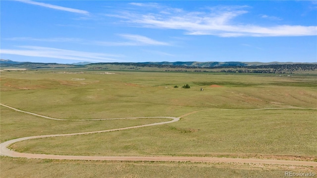 1760 Meier Ridge Trl, Fairplay, CO 80440 - photo 5