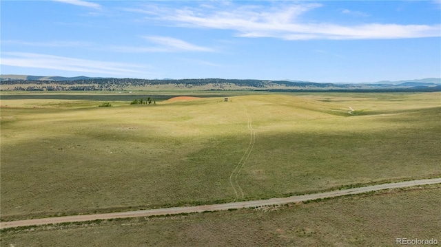 1760 Meier Ridge Trl, Fairplay, CO 80440 - photo 10