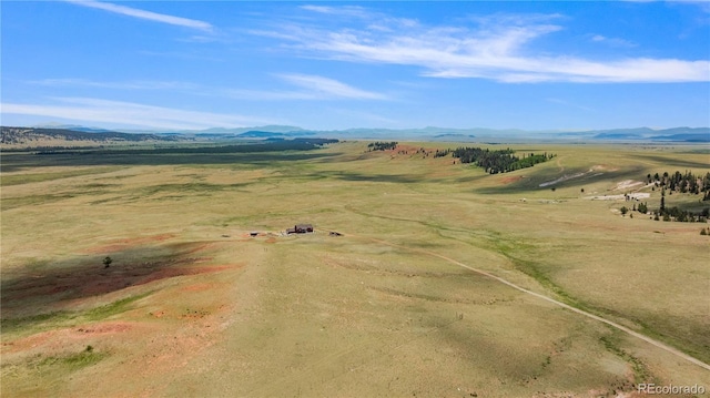 1760 Meier Ridge Trl, Fairplay, CO 80440 - photo 21
