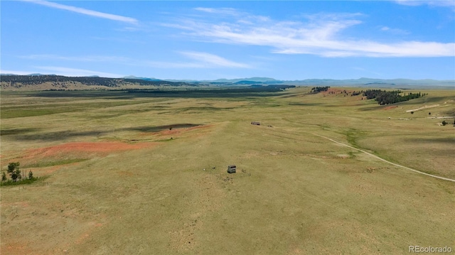 1760 Meier Ridge Trl, Fairplay, CO 80440 - photo 25