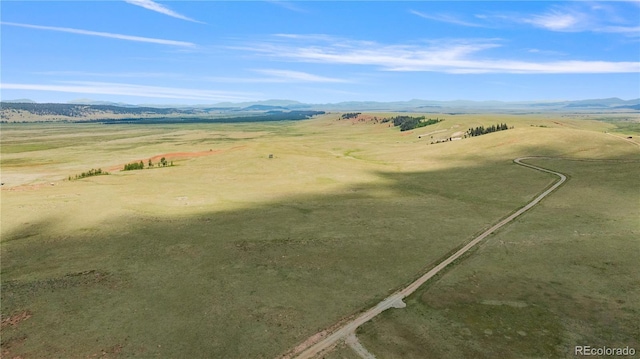 1760 Meier Ridge Trl, Fairplay, CO 80440 - photo 29