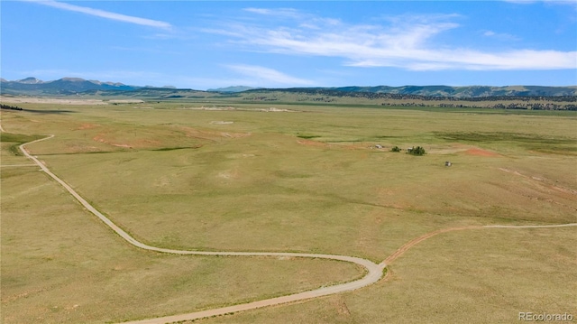 1760 Meier Ridge Trl, Fairplay, CO 80440 - photo 35