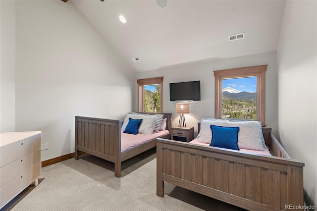 23 Verde Ct, Breckenridge, CO 80424 - photo 28