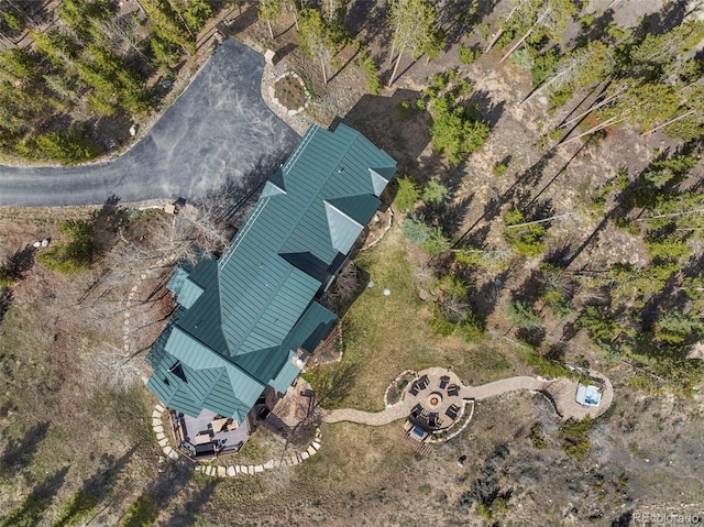 23 Verde Ct, Breckenridge, CO 80424 - photo 50