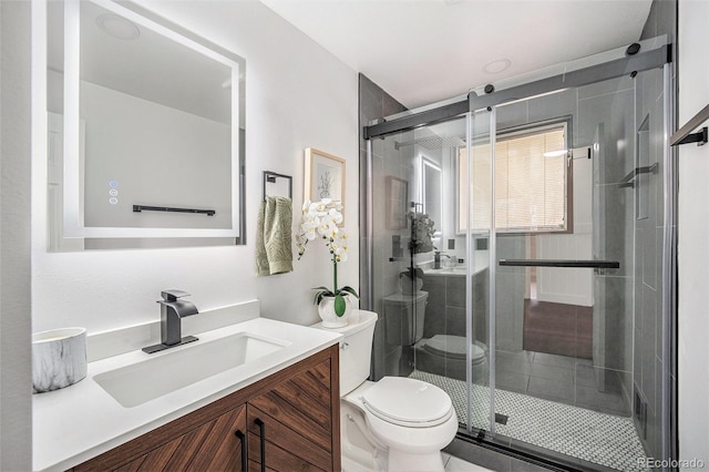 bathroom with toilet, a shower stall, and vanity